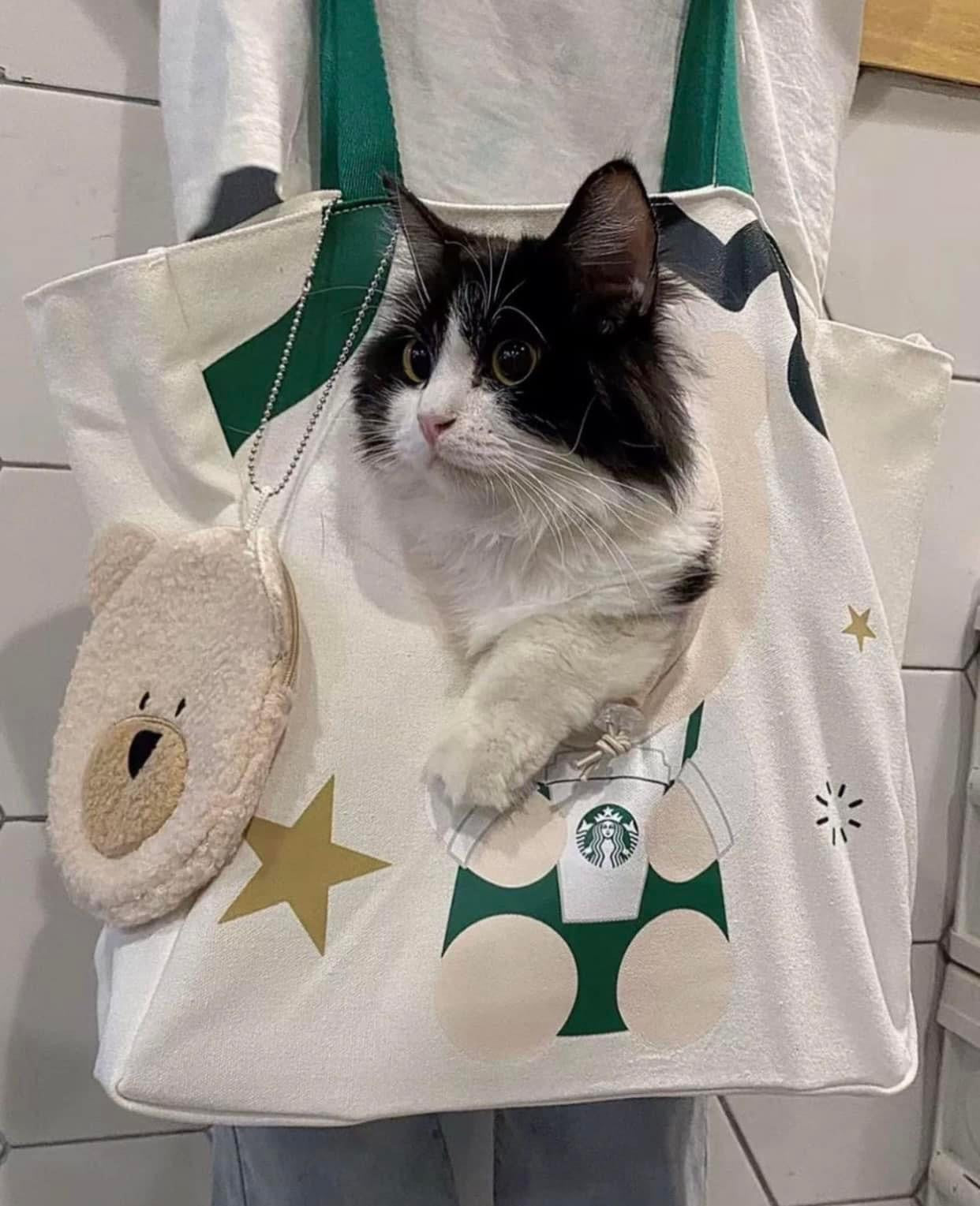 Túi Tote đựng pet Starbuck cute bear