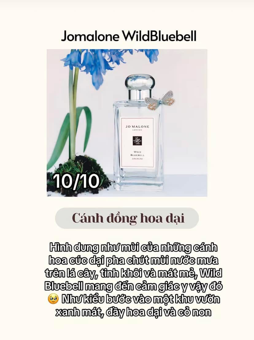 Nước hoa JO MALONE Wild Bluebell Cologne 100ml