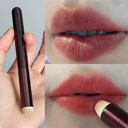 Cọ đầu tròn đa năng