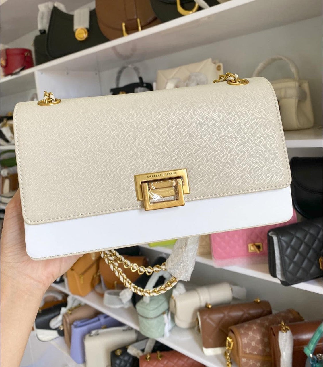 Túi CHARLES & KEITH (Auth)