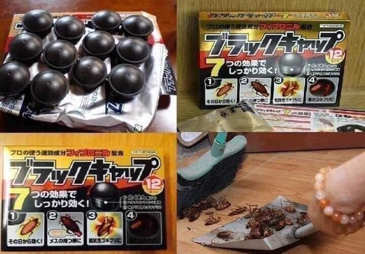 Thuốc diệt gián Nhật Bản