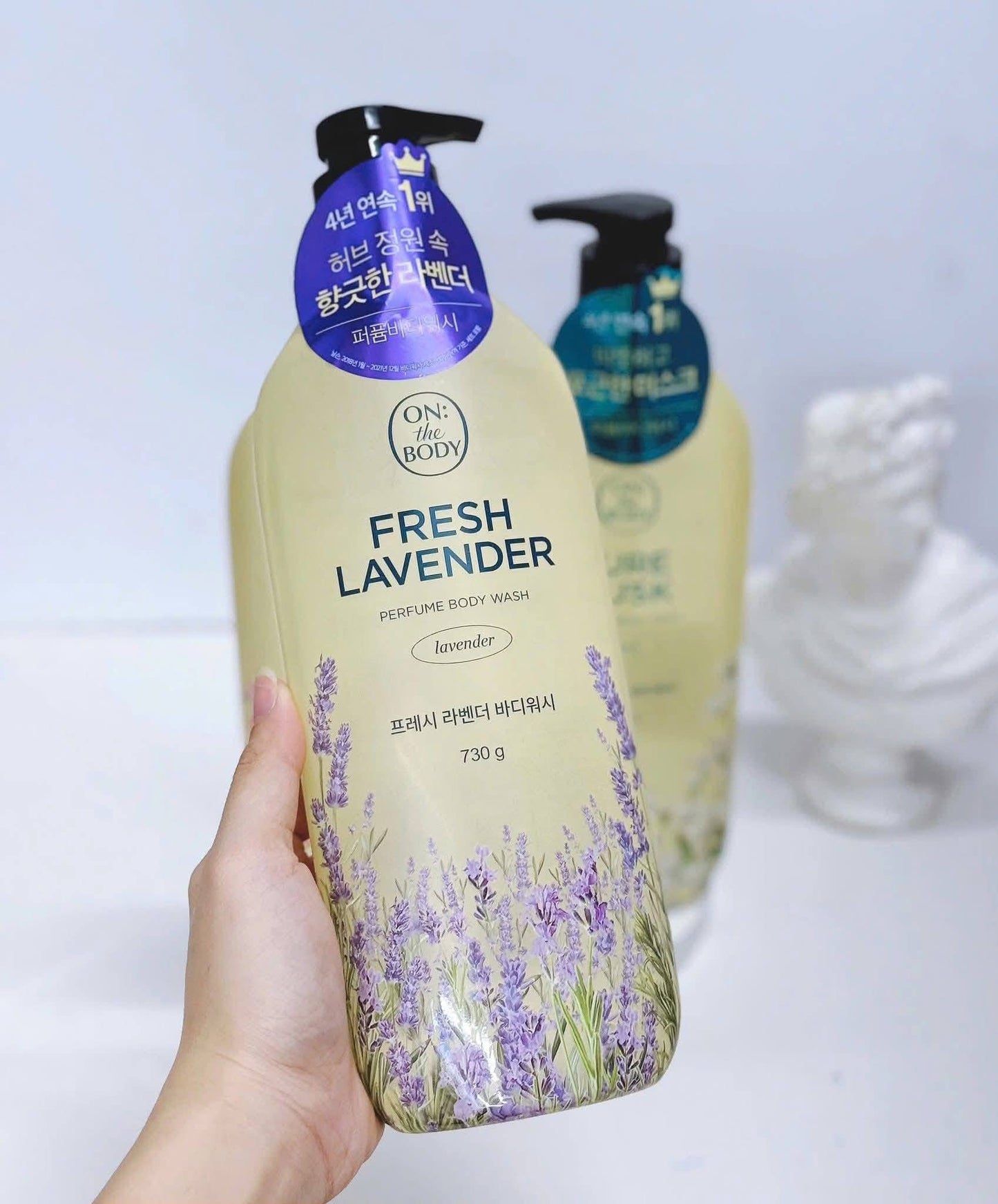 Sữa tắm ON THE BODY 730g