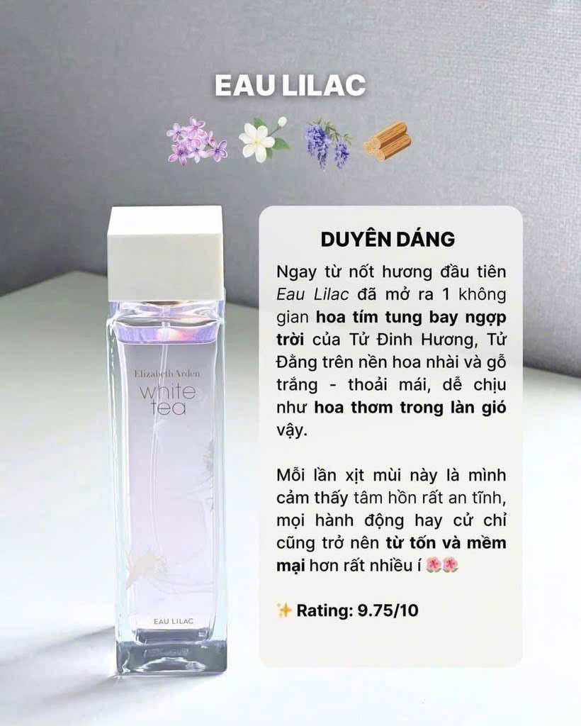 Nước hoa ELIZABETH ARDEN White Tea (mini 10ml fullbox)