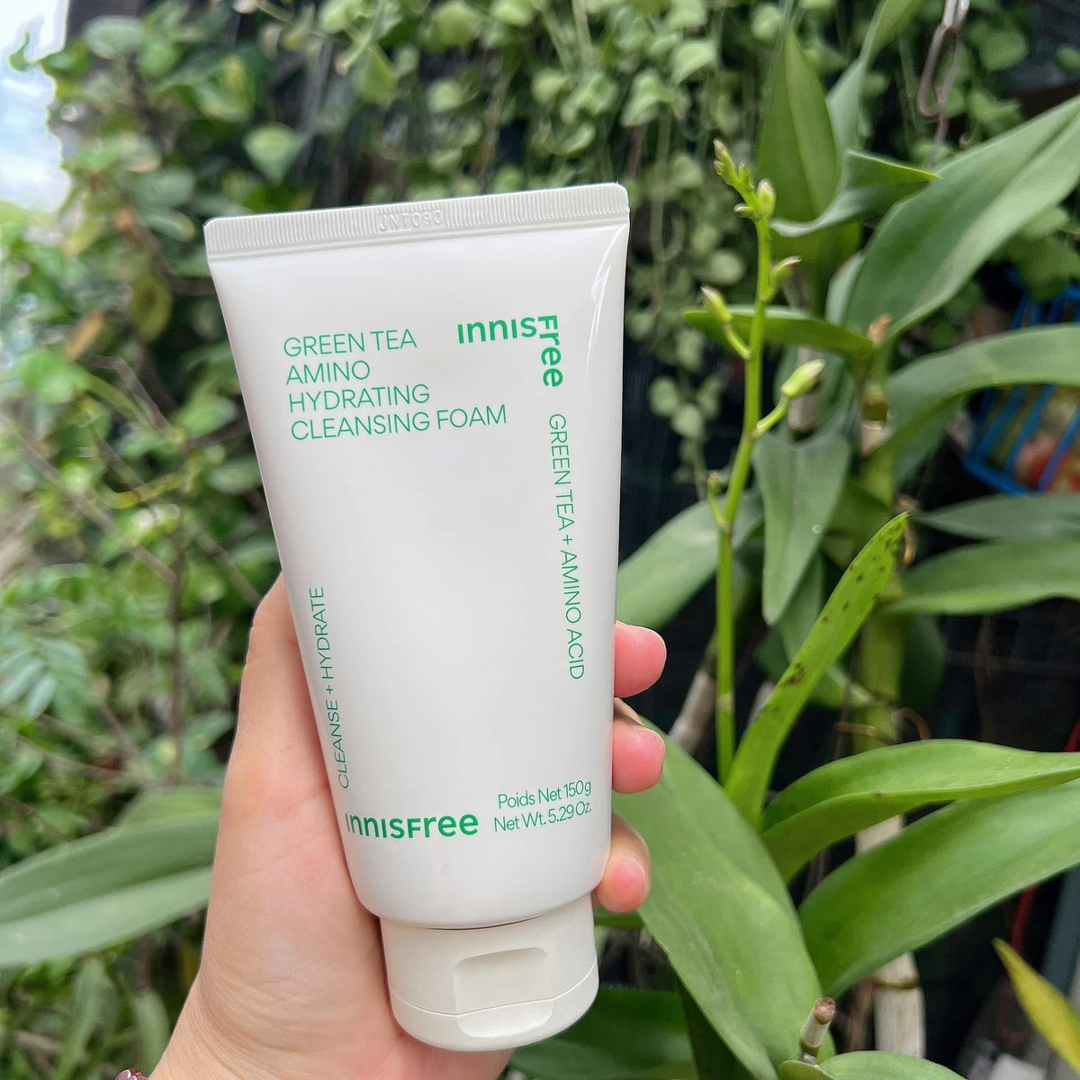 Sữa rửa mặt INNISFREE 150ml