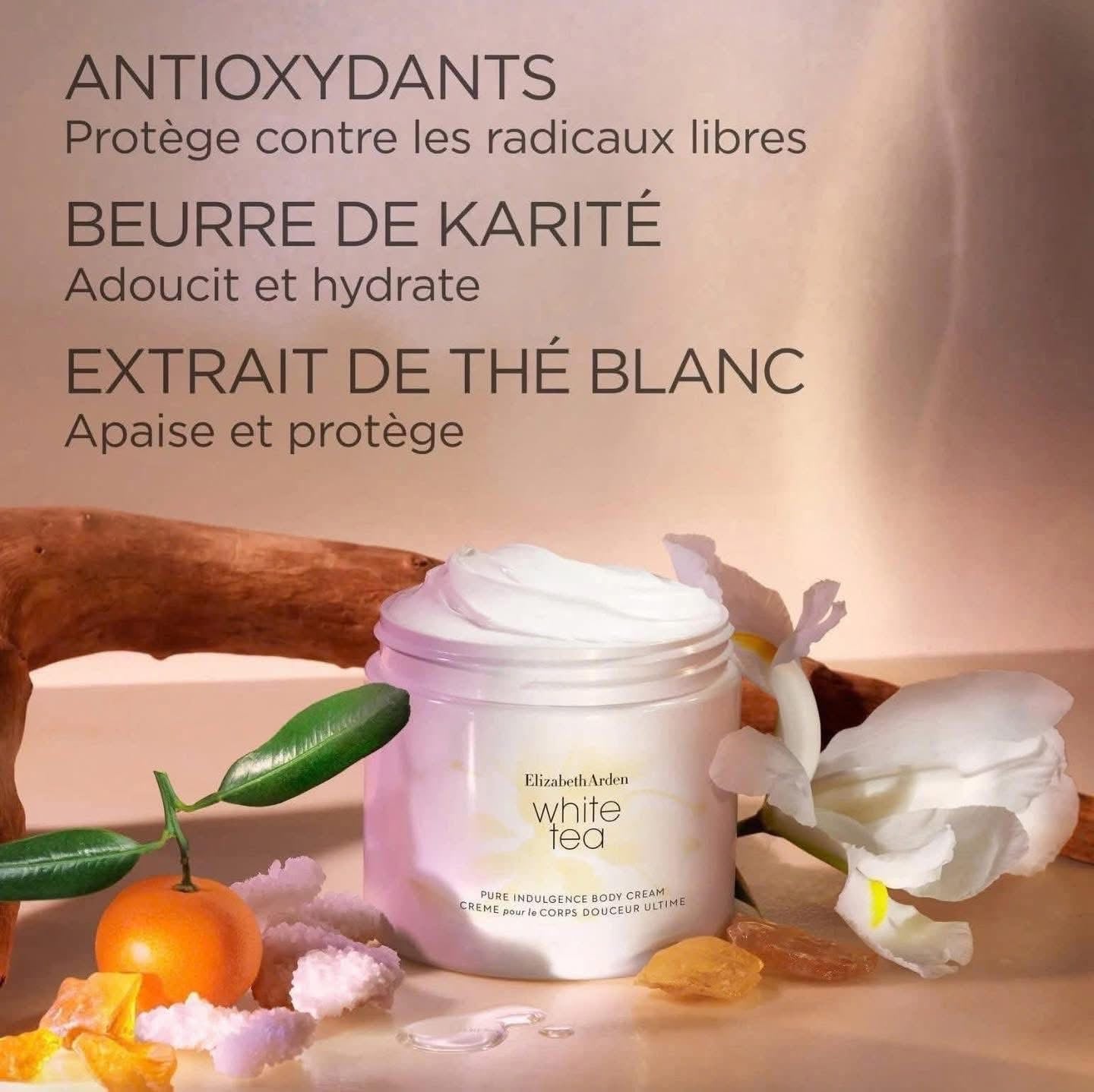 Dưỡng thể ELIZABETH ARDEN White Tea 400ml