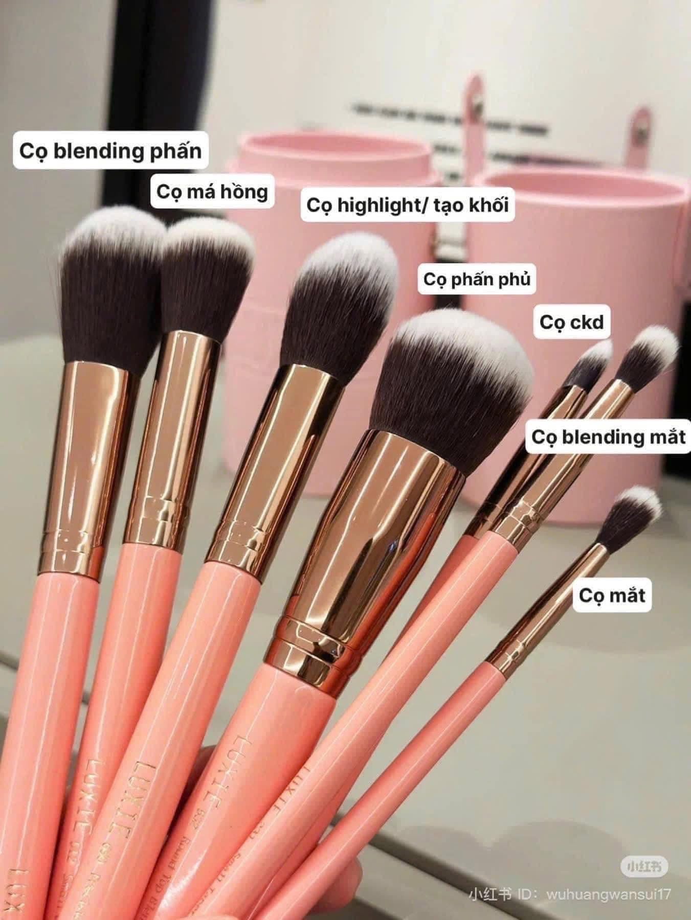 Set cọ MORPHE Rose Baes
