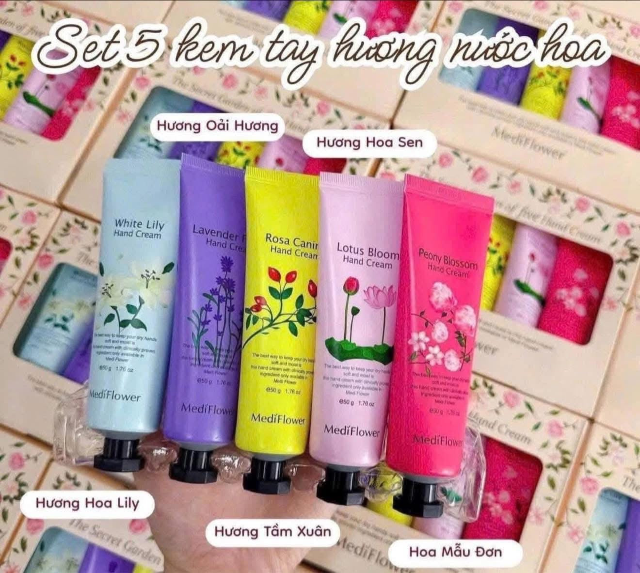 Set kem tay MEDIFLOWER Hàn Quốc