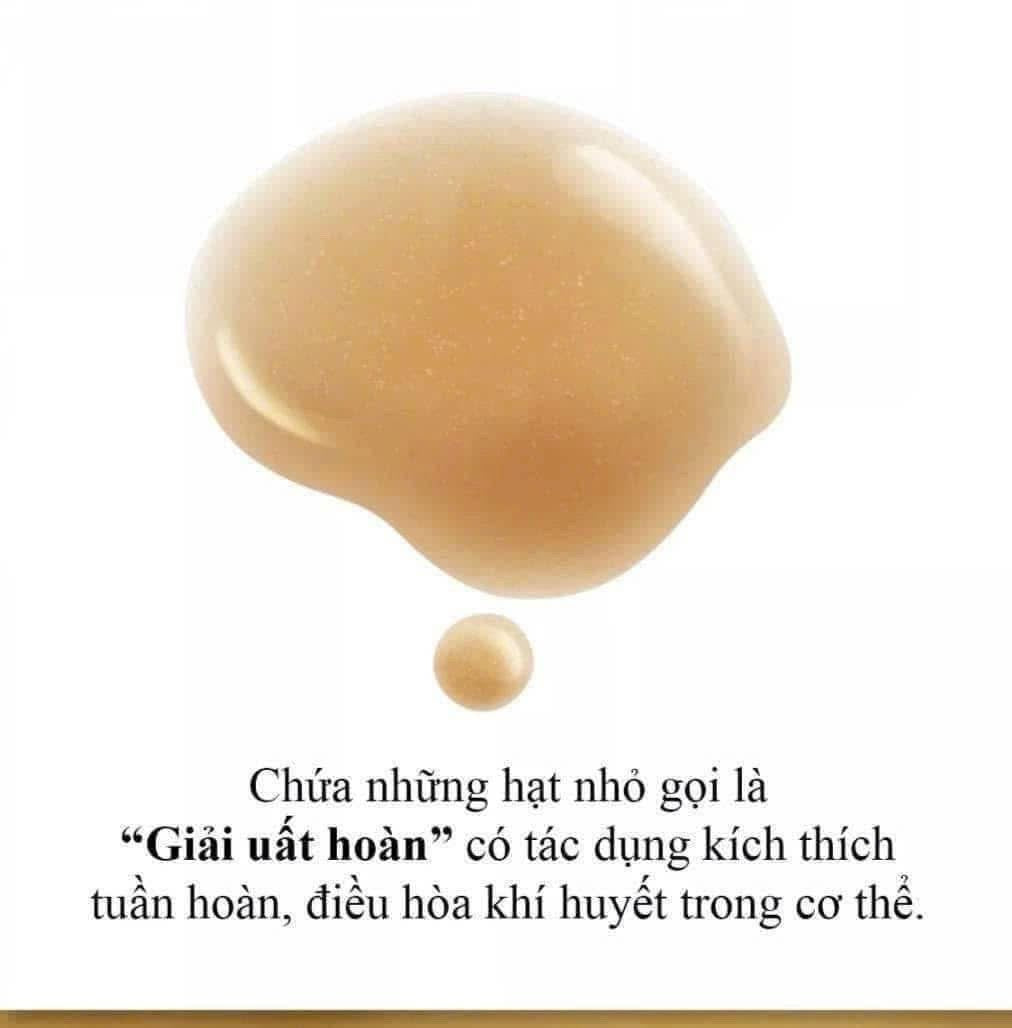 Set 5 món WHOO Bichup Treatment Essence Special