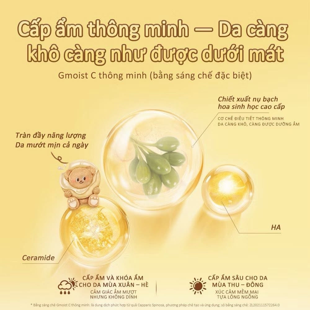 Set kem tay BUTTERBEAR Hàn Quốc