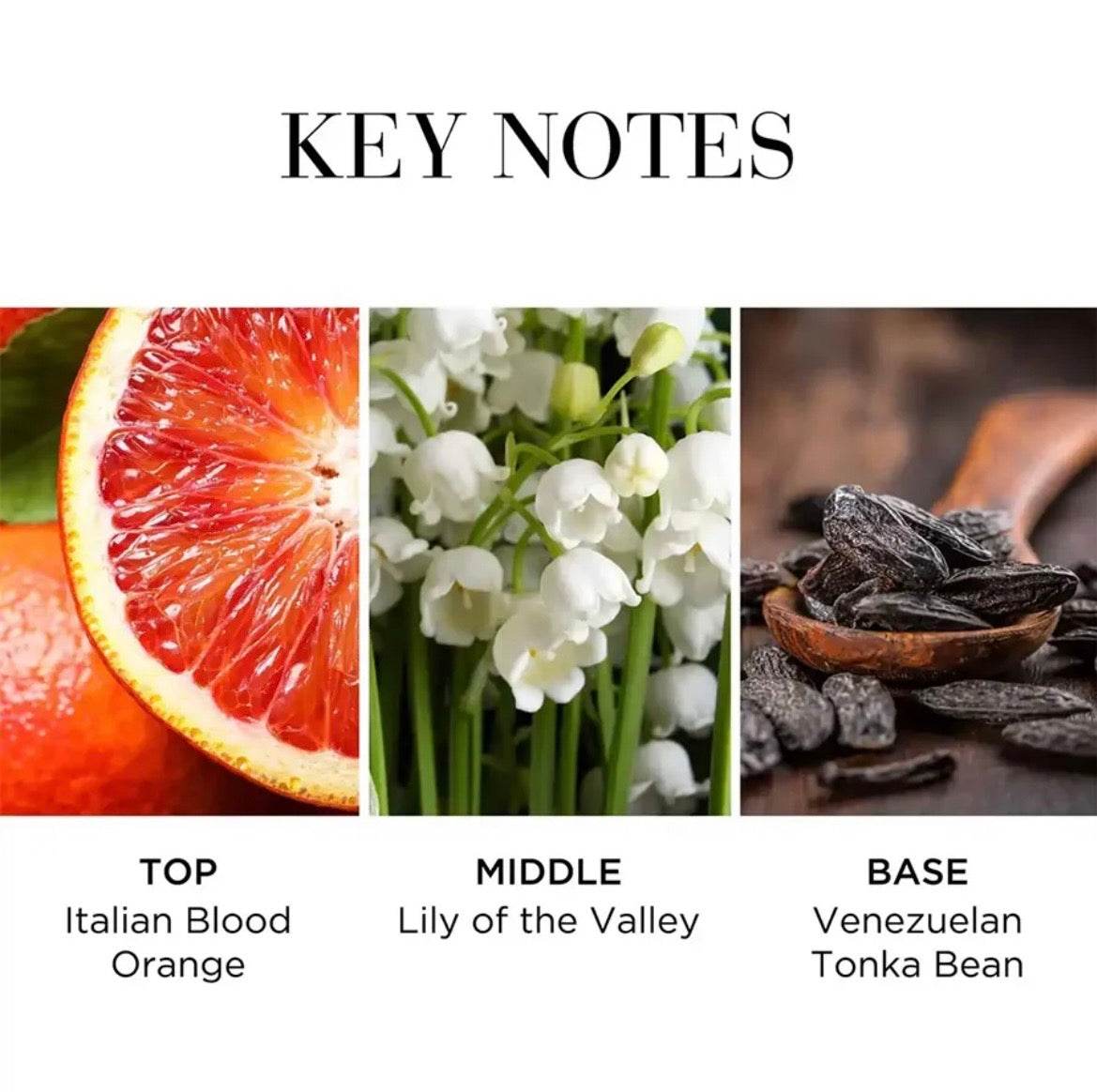 Nước hoa ELIZABETH ARDEN White Tea Eau Fraiche 100ml